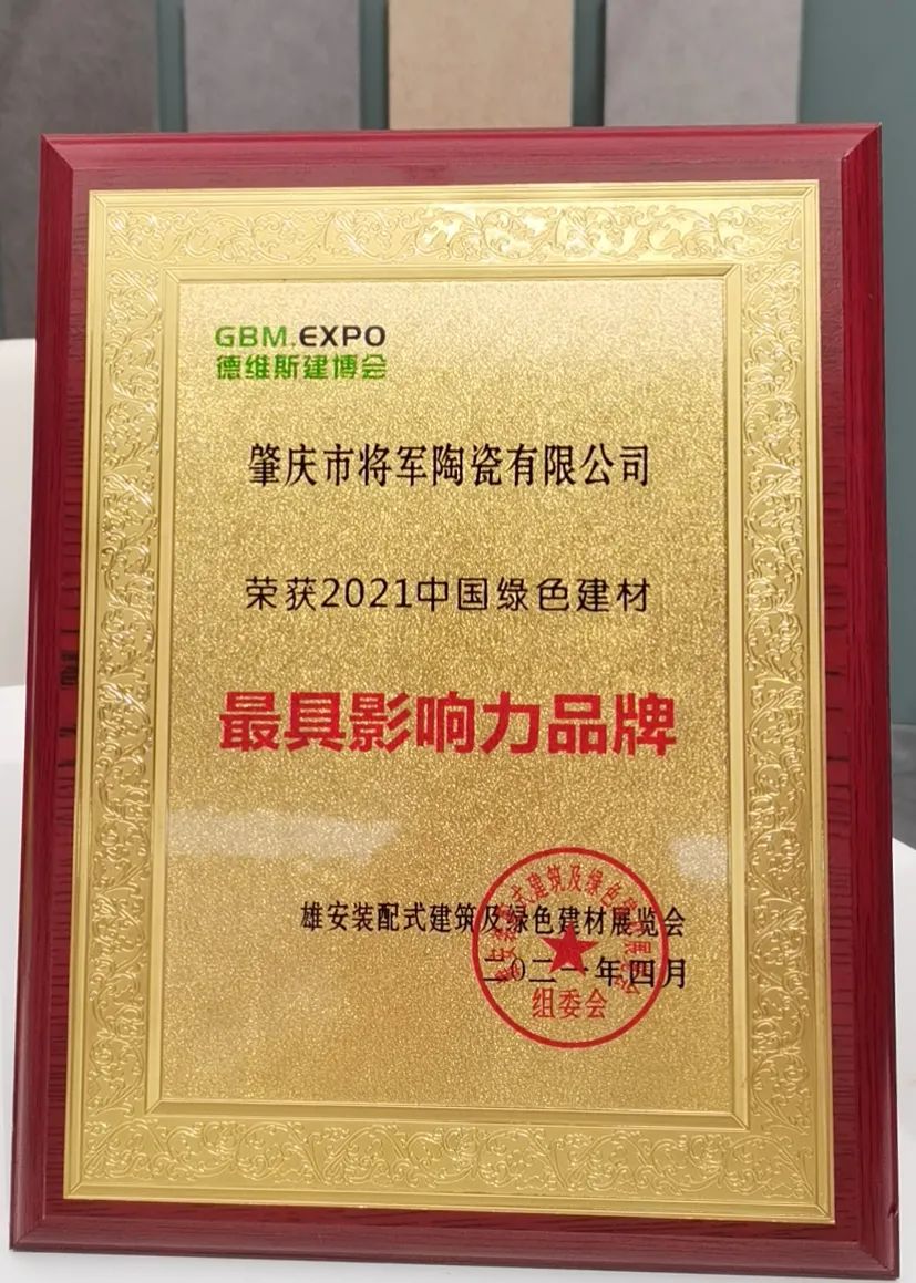 焦點(diǎn)！大將軍驚艷亮相雄安德維斯建博會，流量爆棚引圍觀！(圖6)