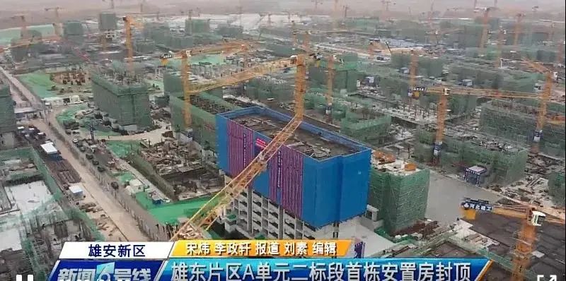 焦點(diǎn)！大將軍驚艷亮相雄安德維斯建博會，流量爆棚引圍觀！(圖7)